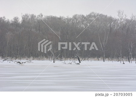 冬の野付半島 20703005