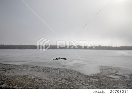 冬の野付半島 20703014