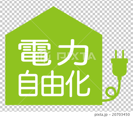 電力自由化　アイコン 20703450