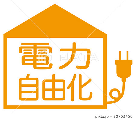 電力自由化　アイコン 20703456