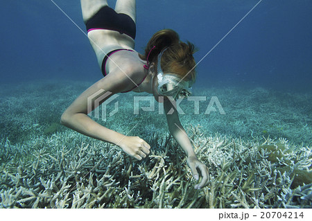 海中の女性 20704214