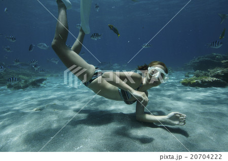 海中の女性 海中の女性 20704222