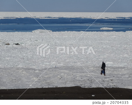 流氷のすき間のオホーツクブルー 流氷のすき間のオホーツクブルー 20704335
