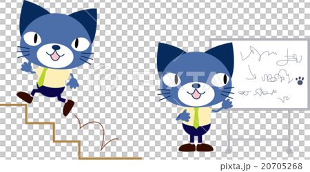 Business cat skill up Business cat skill up 20705268