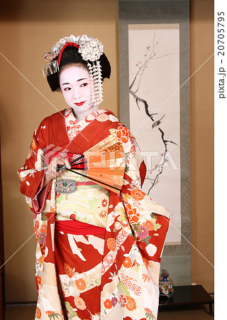 舞妓 20705795