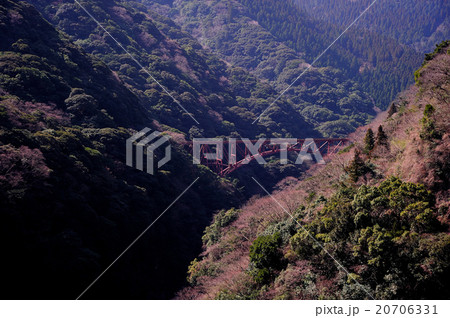 南阿蘇村立野峡谷の風景 南阿蘇村立野峡谷の風景 20706331