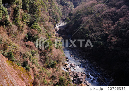 南阿蘇村立野峡谷の風景 20706335