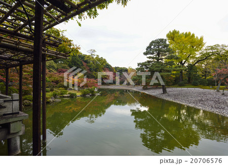 仙洞御所 南池 仙洞御所 南池 20706576