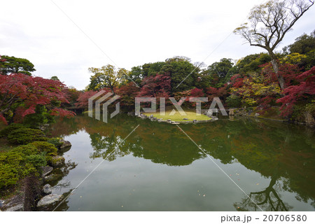 仙洞御所　南池の紅葉 20706580