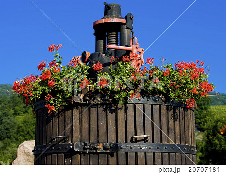 wine-press, Orschwihr, Alsace, France wine-press, Orschwihr, Alsace, France 20707484