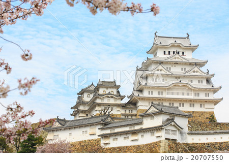 himeji castle renew 2015 surrounded by sakura 20707550
