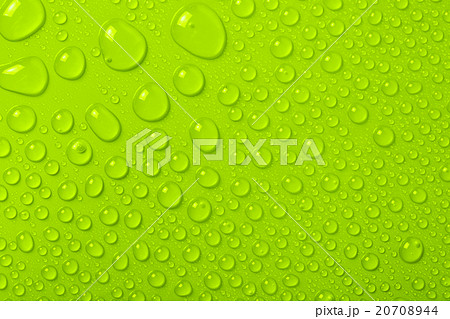 Water Drops On Green Background Water Drops On Green Background 20708944