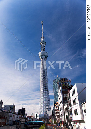 東京スカイツリーと青空 20709598