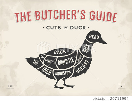 Poster Butcher diagram and scheme - Duck Poster Butcher diagram and scheme - Duck 20711994