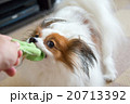僕のタオル！ 20713392