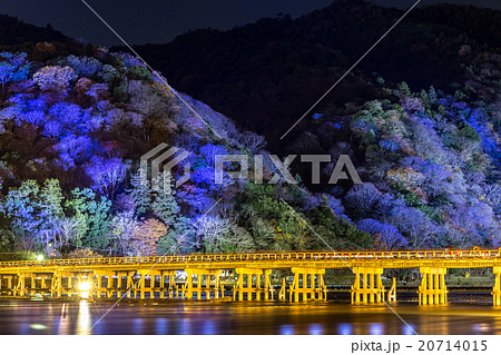渡月橋 - 嵐山花灯路 渡月橋 - 嵐山花灯路 20714015