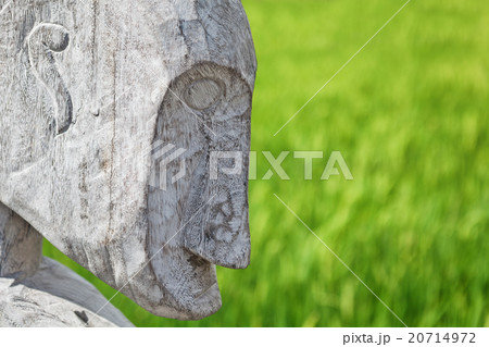 Wood carved man face profile Wood carved man face profile 20714972