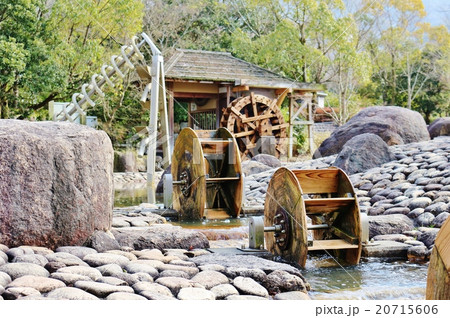 香川用水記念公園 20715606