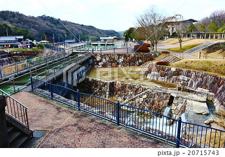 香川用水記念公園 20715743