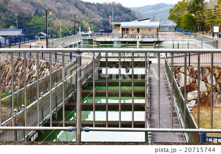 香川用水記念公園 20715744