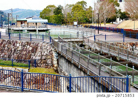 香川用水記念公園 20715853
