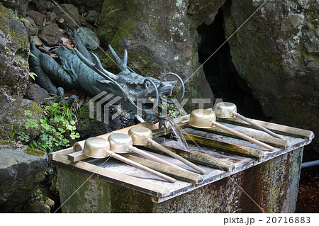 蛇の口の水 蛇の口の水 20716883