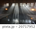 温もりの陽光 20717952