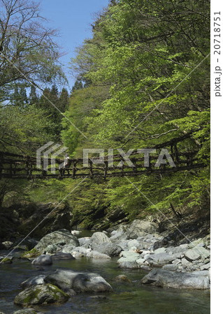 奥祖谷二重かずら橋 20718751