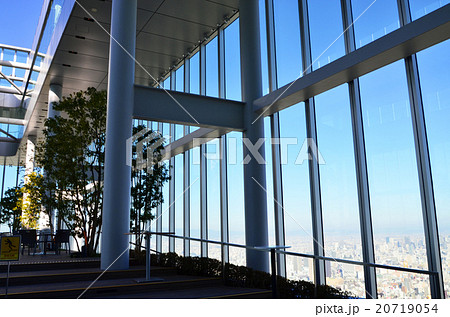 大阪 あべのハルカスの天空庭園 大阪 あべのハルカスの天空庭園 20719054