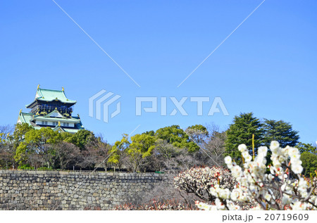 早春の大阪城公園 早春の大阪城公園 20719609