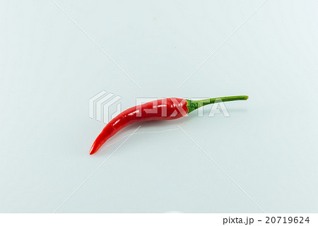 Red hot chilli Red hot chilli 20719624