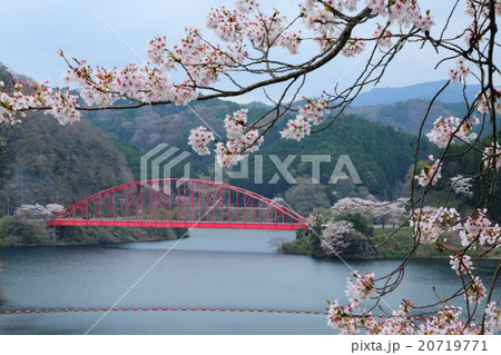 春の青蓮寺ダム湖と弁天橋 春の青蓮寺ダム湖と弁天橋 20719771