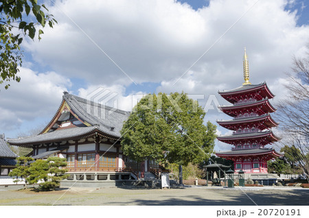 蓮華院誕生寺本院本堂と五重塔 蓮華院誕生寺本院本堂と五重塔 20720191