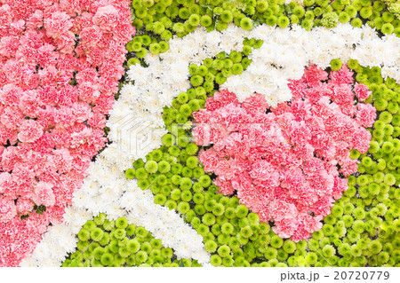 Multi-coloured of flower 20720779