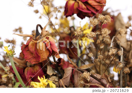 Close up of whithered flowers bouquet. 20721629