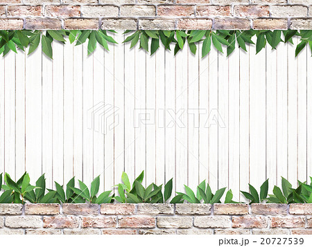 ナチュラル背景 ナチュラル背景 20727539