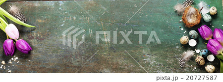 Easter composition with tulips and nest 20727587