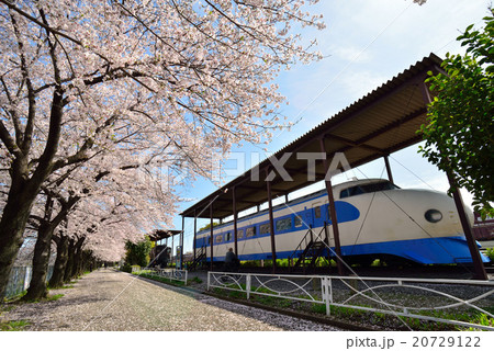 摂津市新幹線公園の桜 20729122