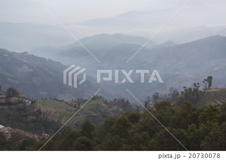 ネパールの村ナガルコットの朝 20730078