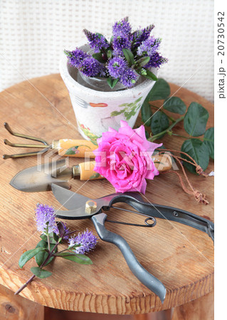 ガーデニング雑貨とバラ ガーデニング雑貨とバラ 20730542