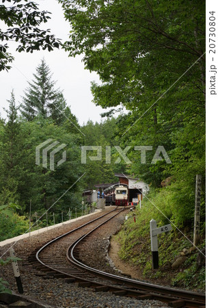 赤沢自然休養林 （トロッコ） 20730804