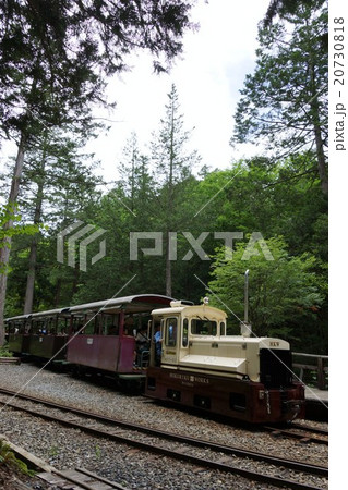 赤沢自然休養林 （トロッコ） 20730818