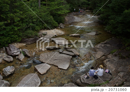 赤沢自然休養林 （清流） 20731060