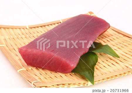 鮪　柵 20731966