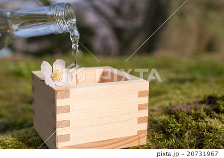 花見で枡酒 桜の花 お酌 花見で枡酒 桜の花 お酌 20731967