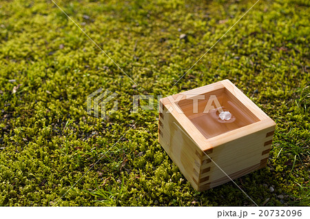桜の花びらが入った枡酒 メイン 桜の花びらが入った枡酒 メイン 20732096