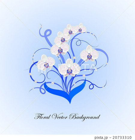Decorative bouquet of white orchid Decorative bouquet of white orchid 20733310