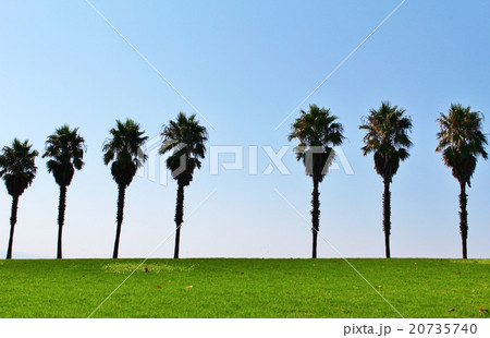 一の宮公園・海水浴場 一の宮公園・海水浴場 20735740