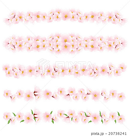 桜 ライン セットのイラスト素材