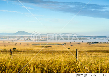 Golden grass field at Peak Crossing Golden grass field at Peak Crossing 20736815